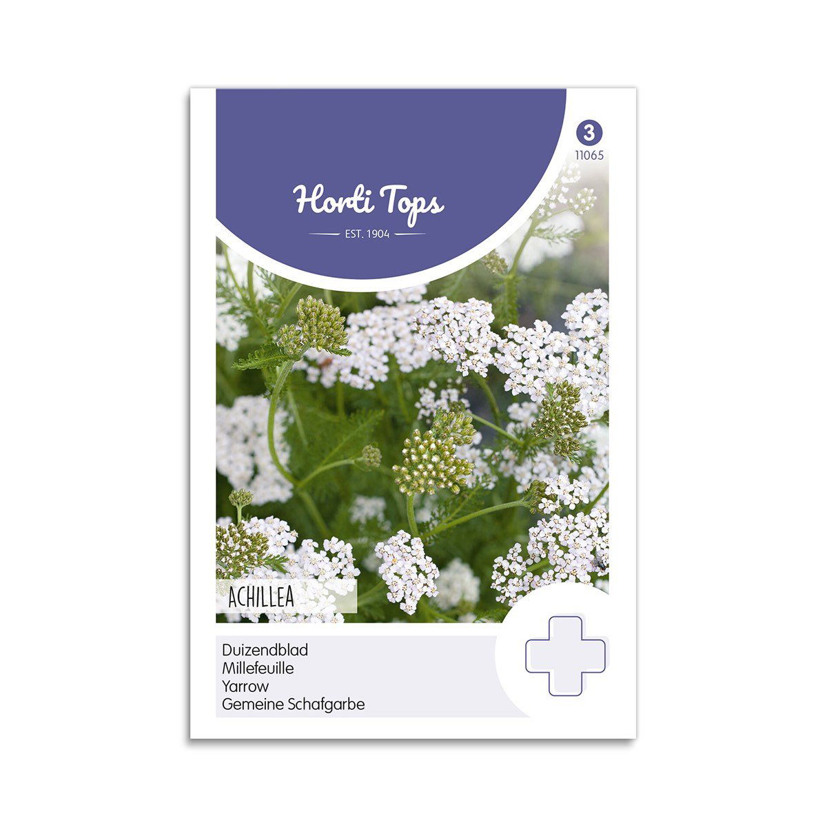 Almindelig Røllike Frø fra Horti Tops - Udsalg!
