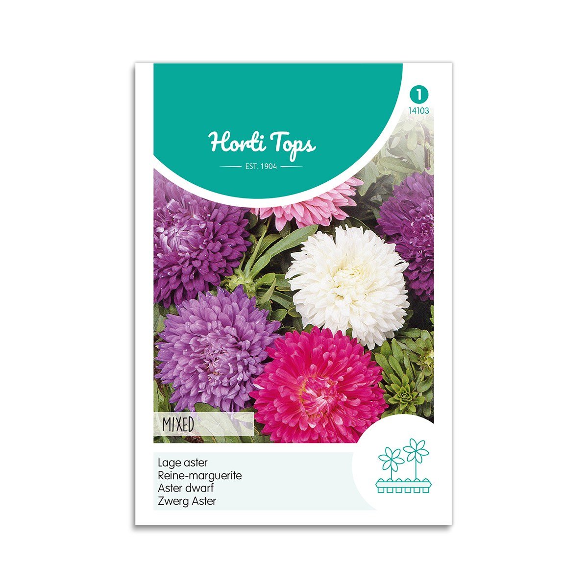 Asters Frø Mix – Farverige Blomster til Haven
