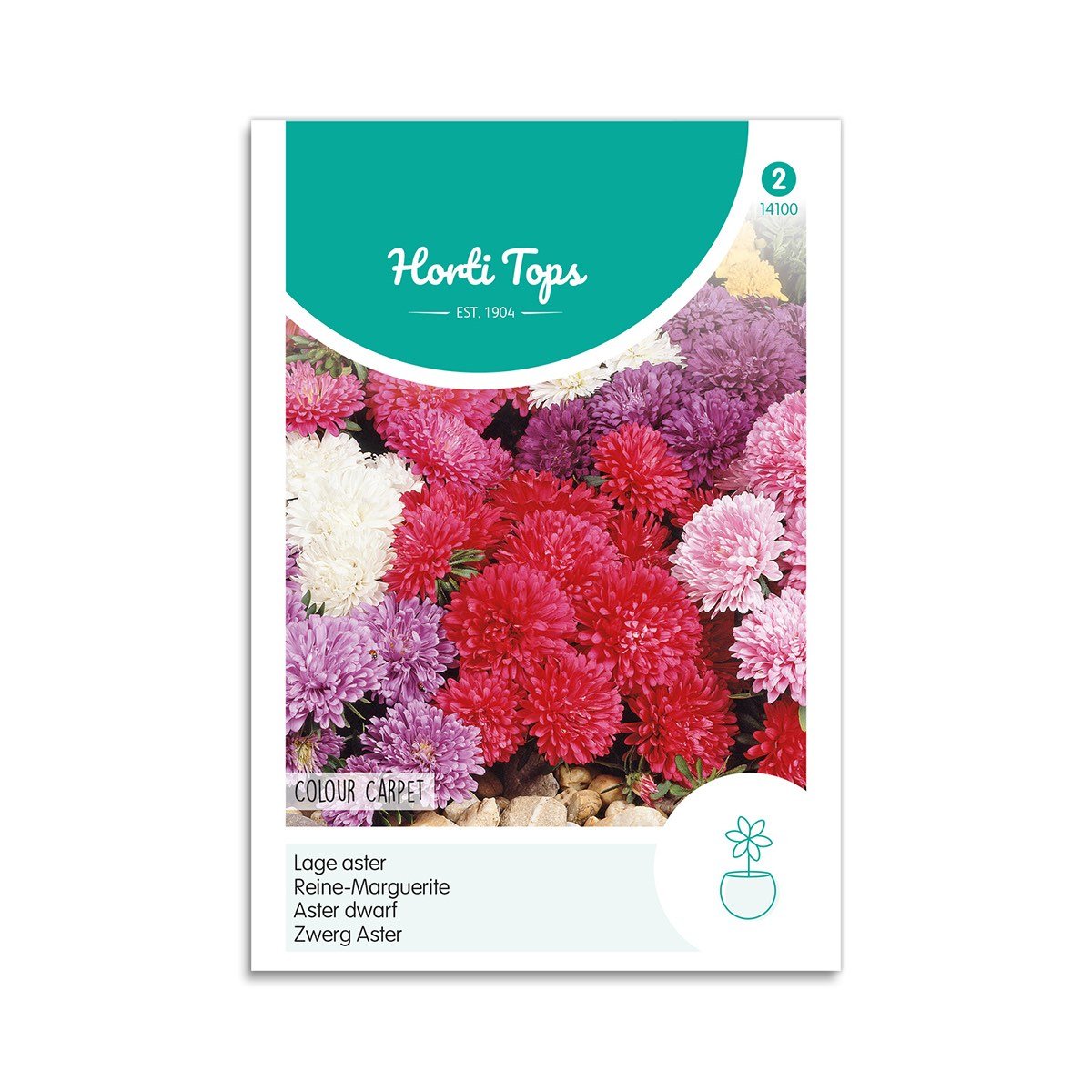 Asters Frø Mix "Colour Carpet" fra Horti Tops