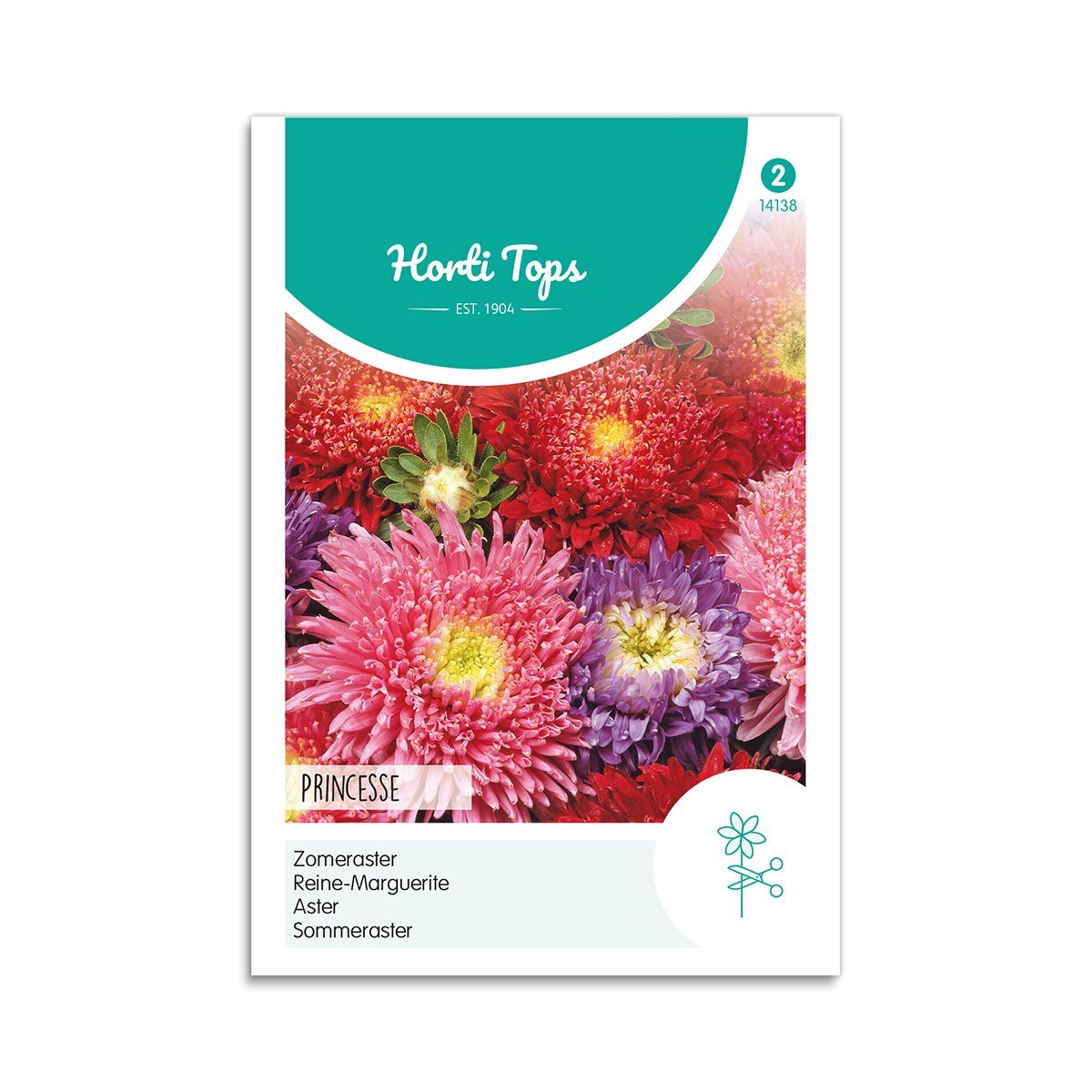 Asters Frø Mix "Giant Princess" - Storslåede Blomsterfrø