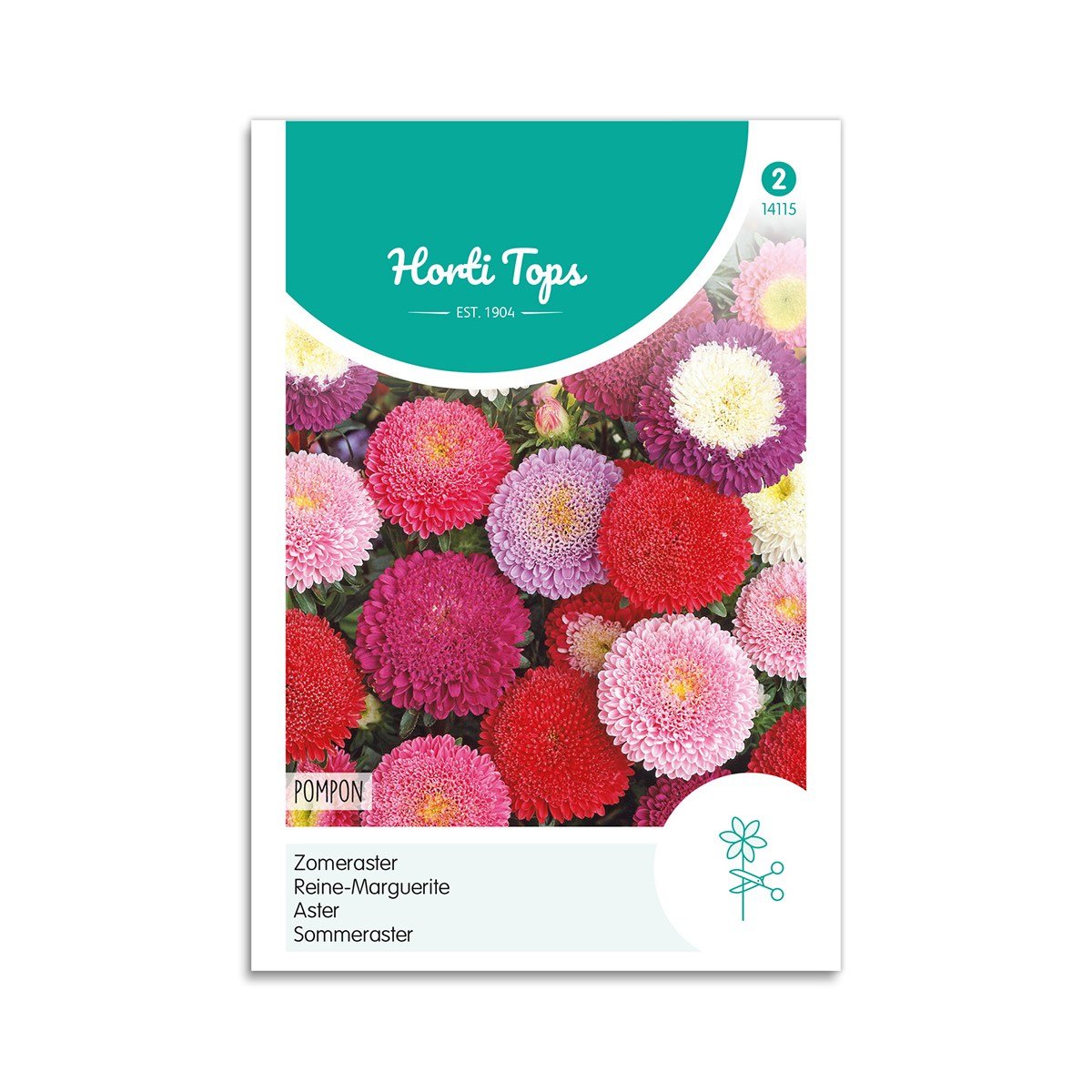 Asters Frø "Pompon Mix" - Farverig Blomsterblanding