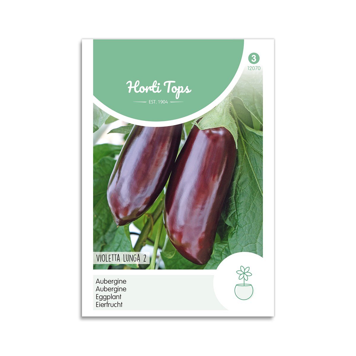 Aubergine Frø  Quot Violetta Lunga   Quot