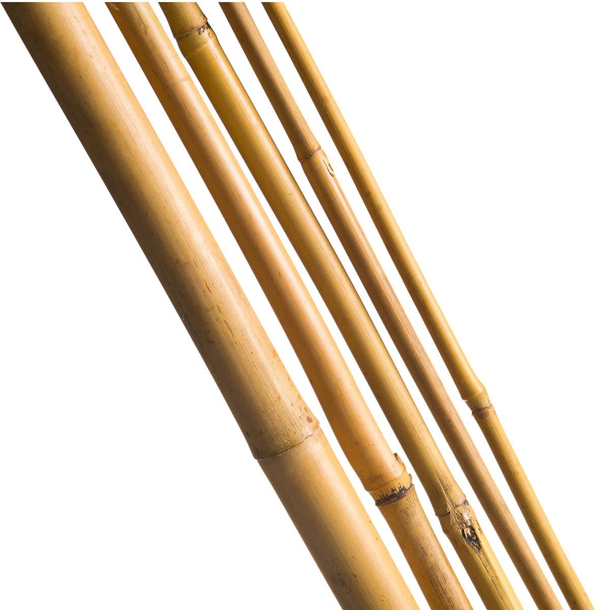 Bambuspinde H90 Cm ø8-10 Mm   Stk