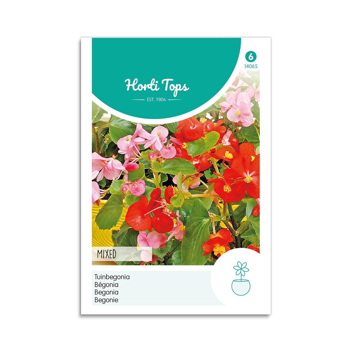 Begonie Frø Mix fra Horti Tops - Farverige Sommerblomster