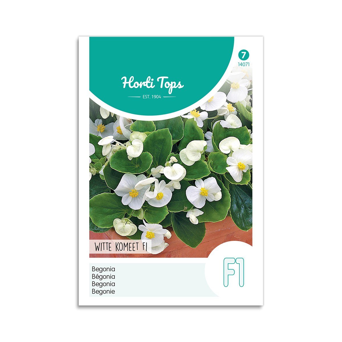 Begonias frø "White Comet F1" - Horti Tops på tilbud!