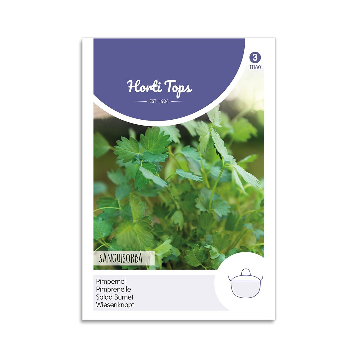 Bibernelle Frø fra Horti Tops - Krydderurt til Dyrkning