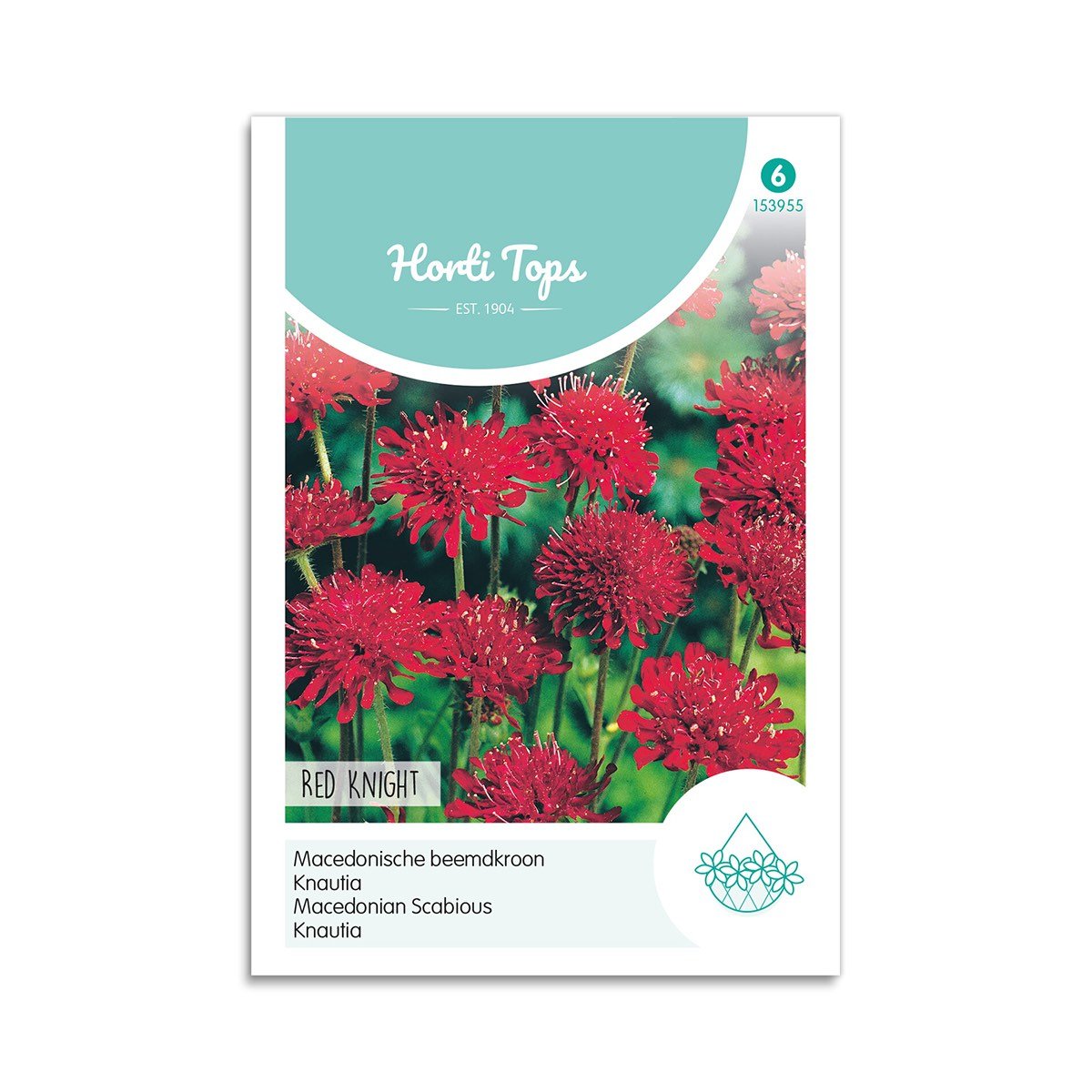Blåhat Frø  Quot Red Knight Quot  Horti Tops