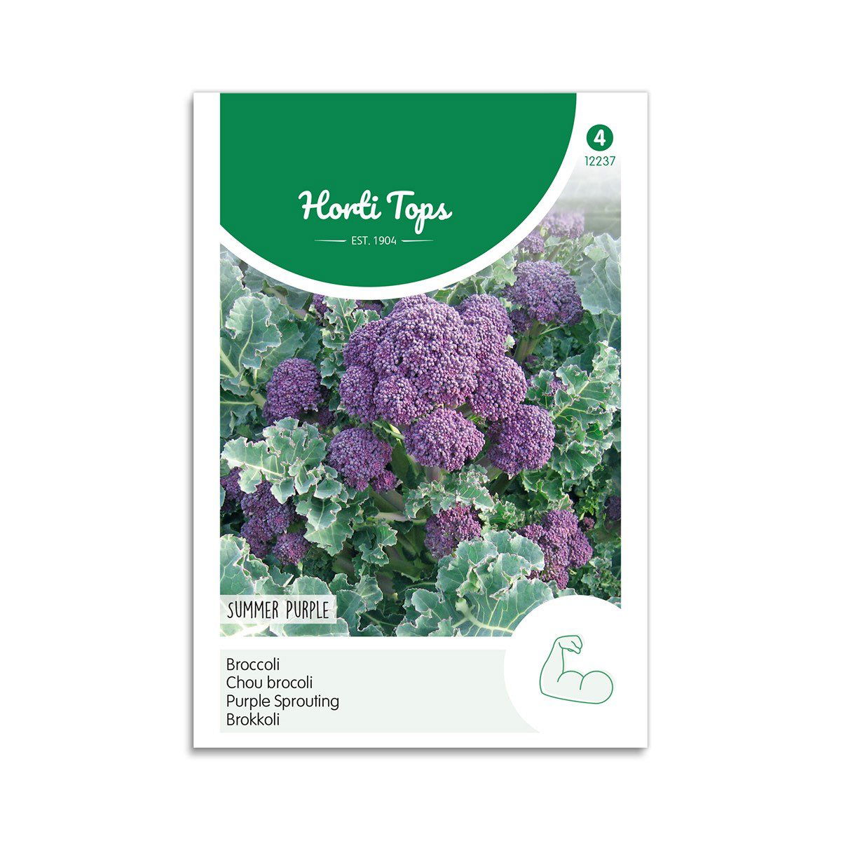 Broccoli Frø "Summer Purple" - Horti Tops Tilbud!