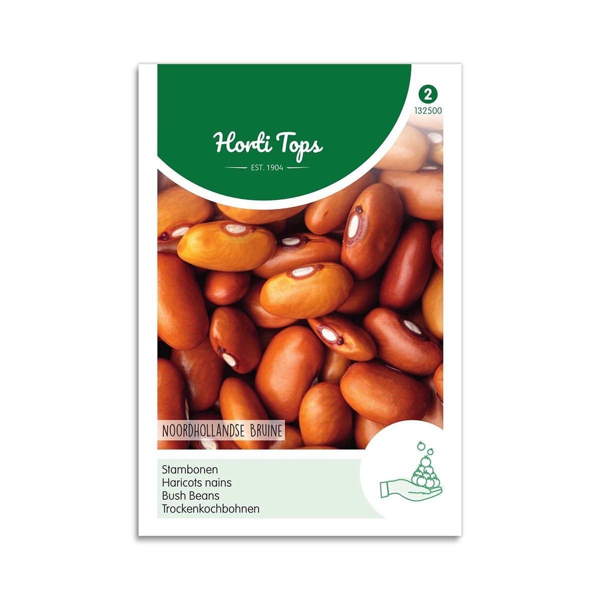 Buskbønnefrø "Brown Dutch" - Horti Tops på tilbud!