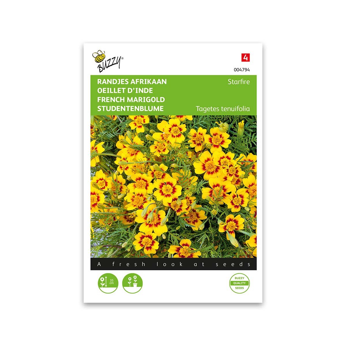 Buzzy Fransk Tagetes Starfire - Blomsterfrø til Haven