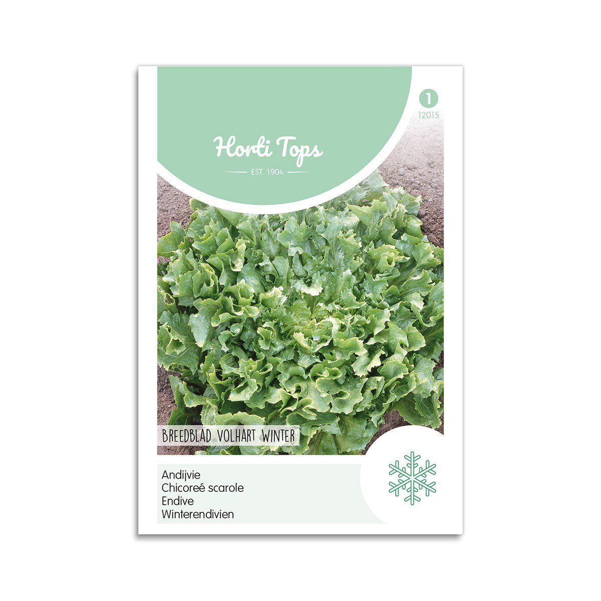 Endiviesalat Frø "Avantgarde" - Horti Tops på tilbud!