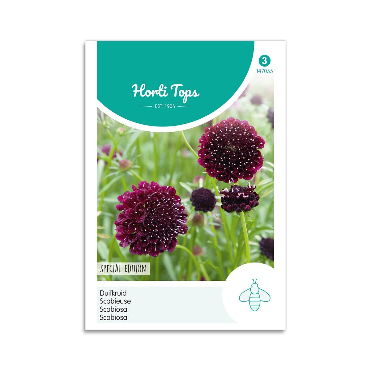 Enkeblomst Frø  Quot Deep Purple Quot  Horti Tops