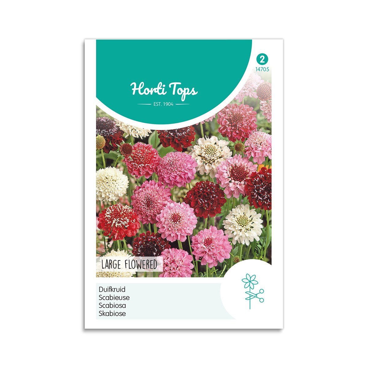 Enkeblomst Frø "Store Blomster" - Horti Tops Tilbud