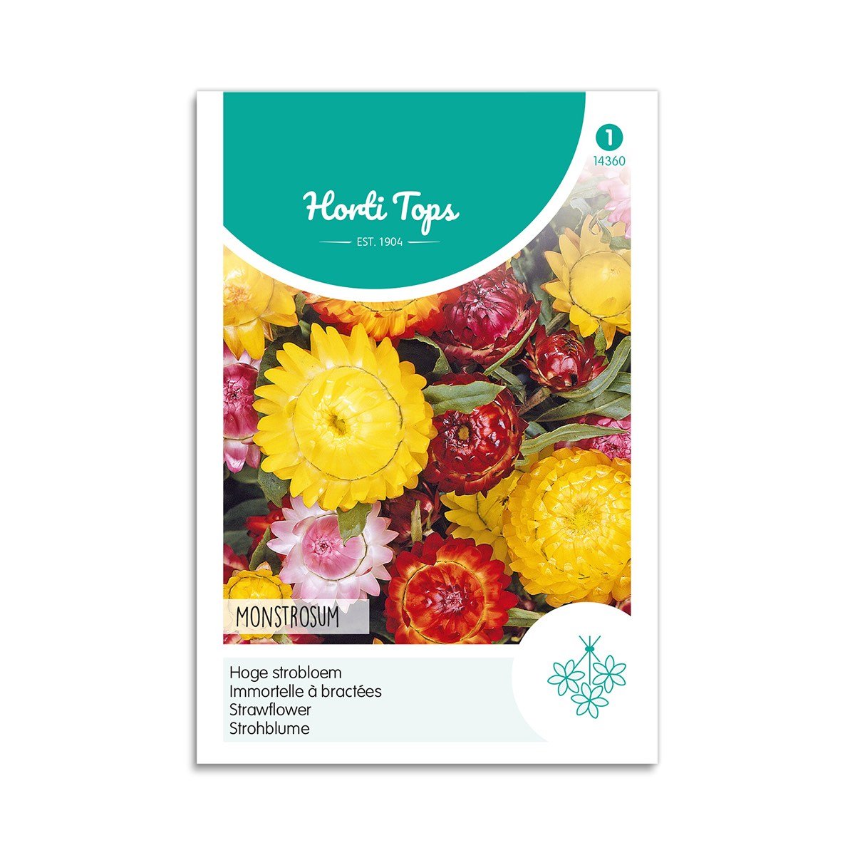 Evighedsblomst Frø "Monstrosum" - Horti Tops Tilbud!