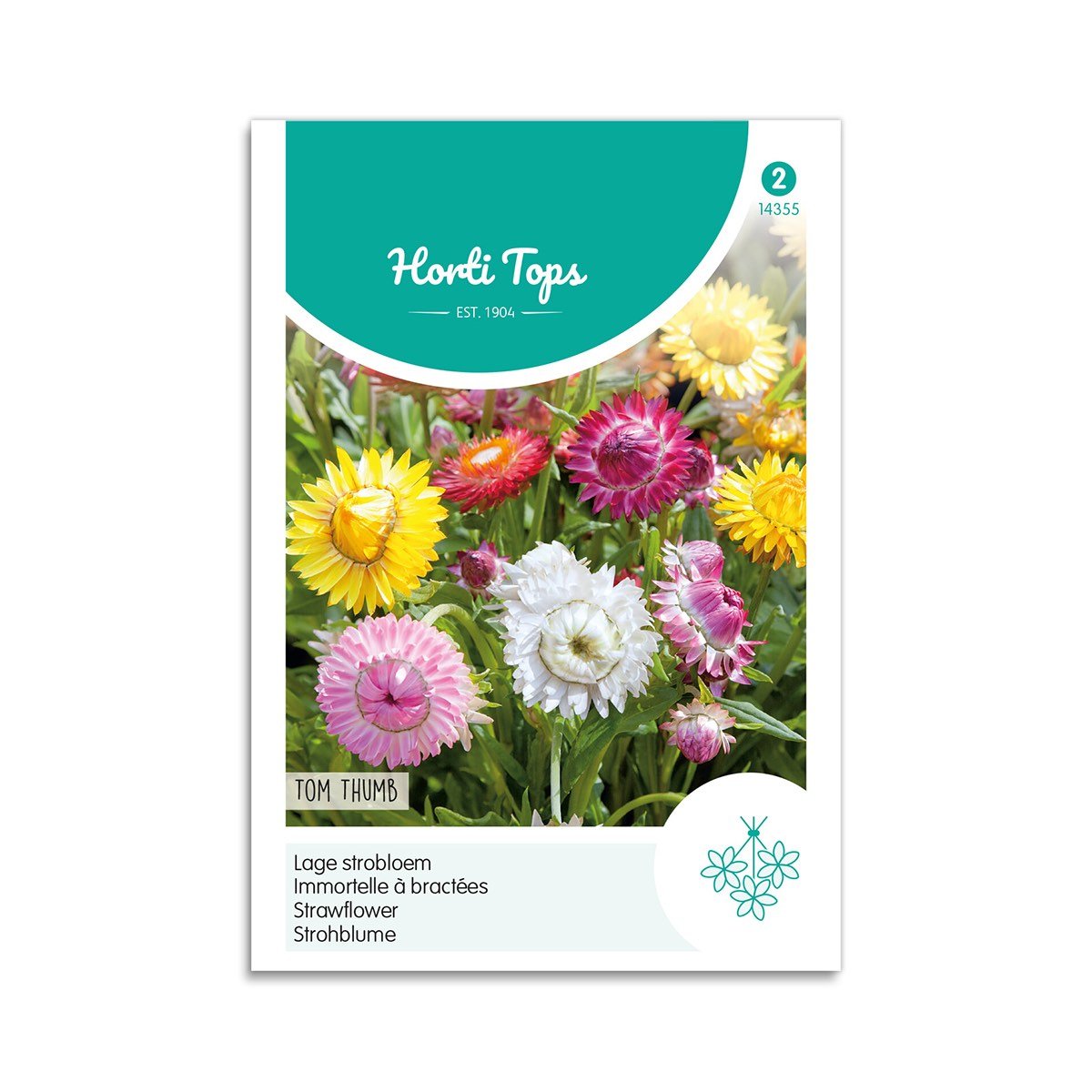 Evighedsblomster Frø "Tom Thumb" - Horti Tops Tilbud