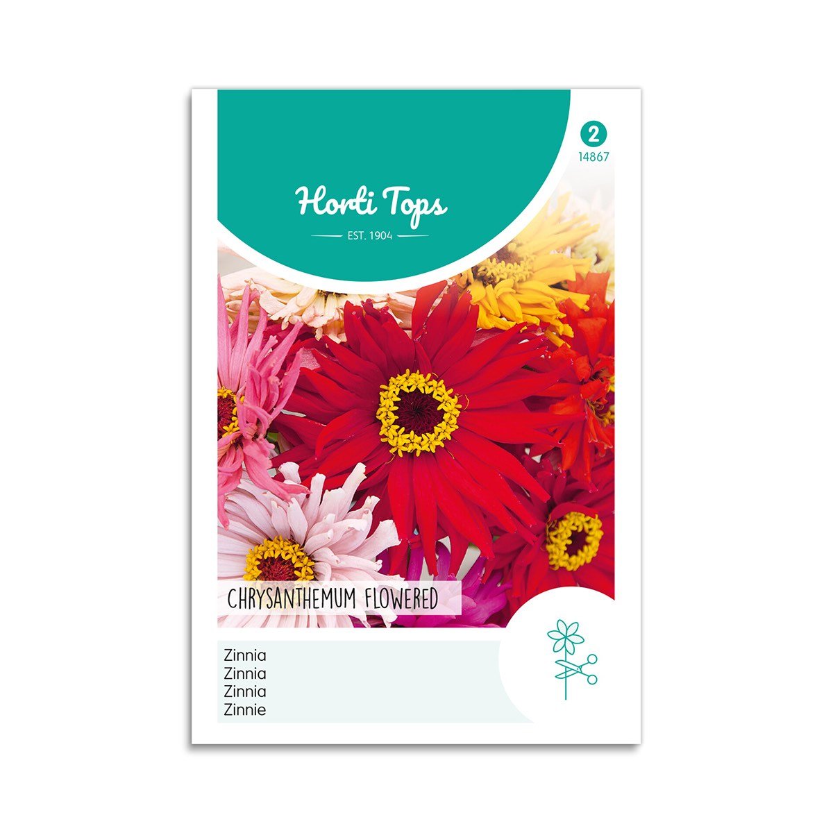 Frøkenhat Frø - Chrysanthemum Blomster til Haven