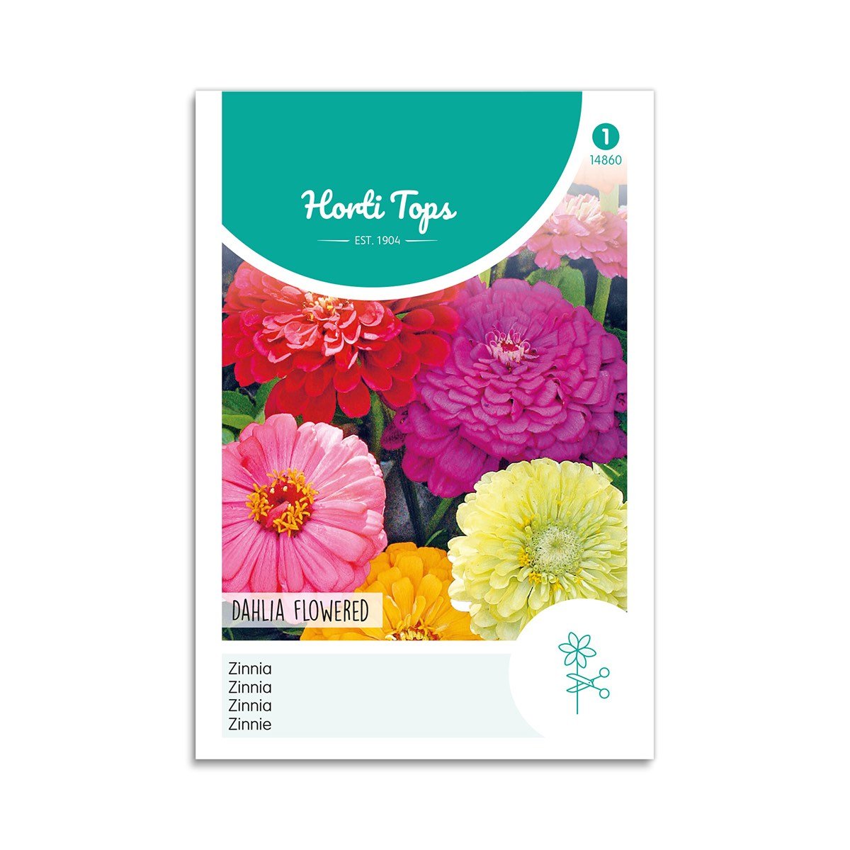 Frøkenhat Frø "Dahlia Flowered" – Horti Tops på tilbud!