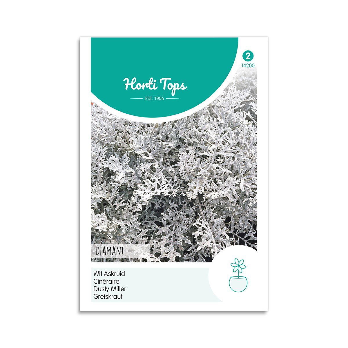 Gråblad Frø  Quot Diamant Quot  Horti Tops
