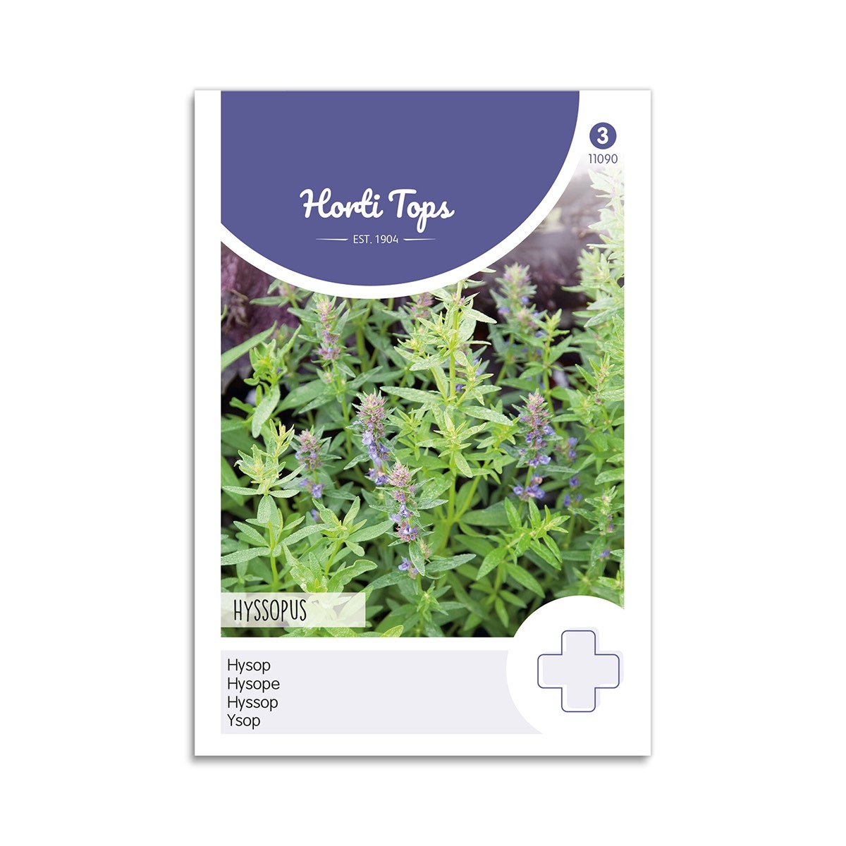 Isop Frø - Hyssopus Officinalis fra Horti Tops