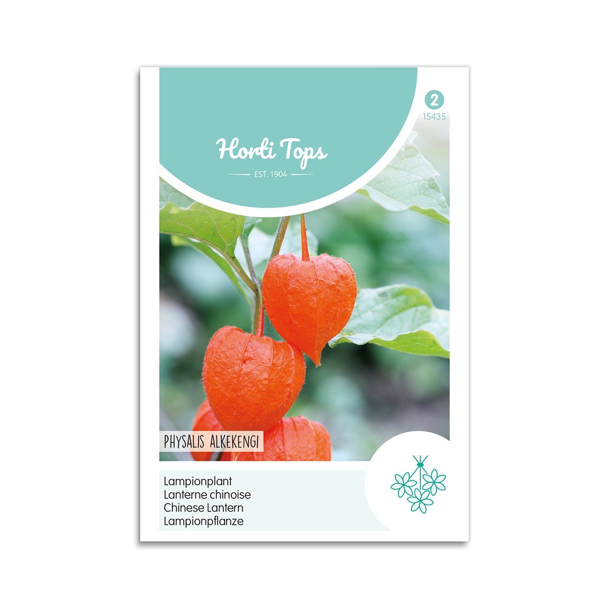 Japansk Lygte Frø - Horti Tops til din have!