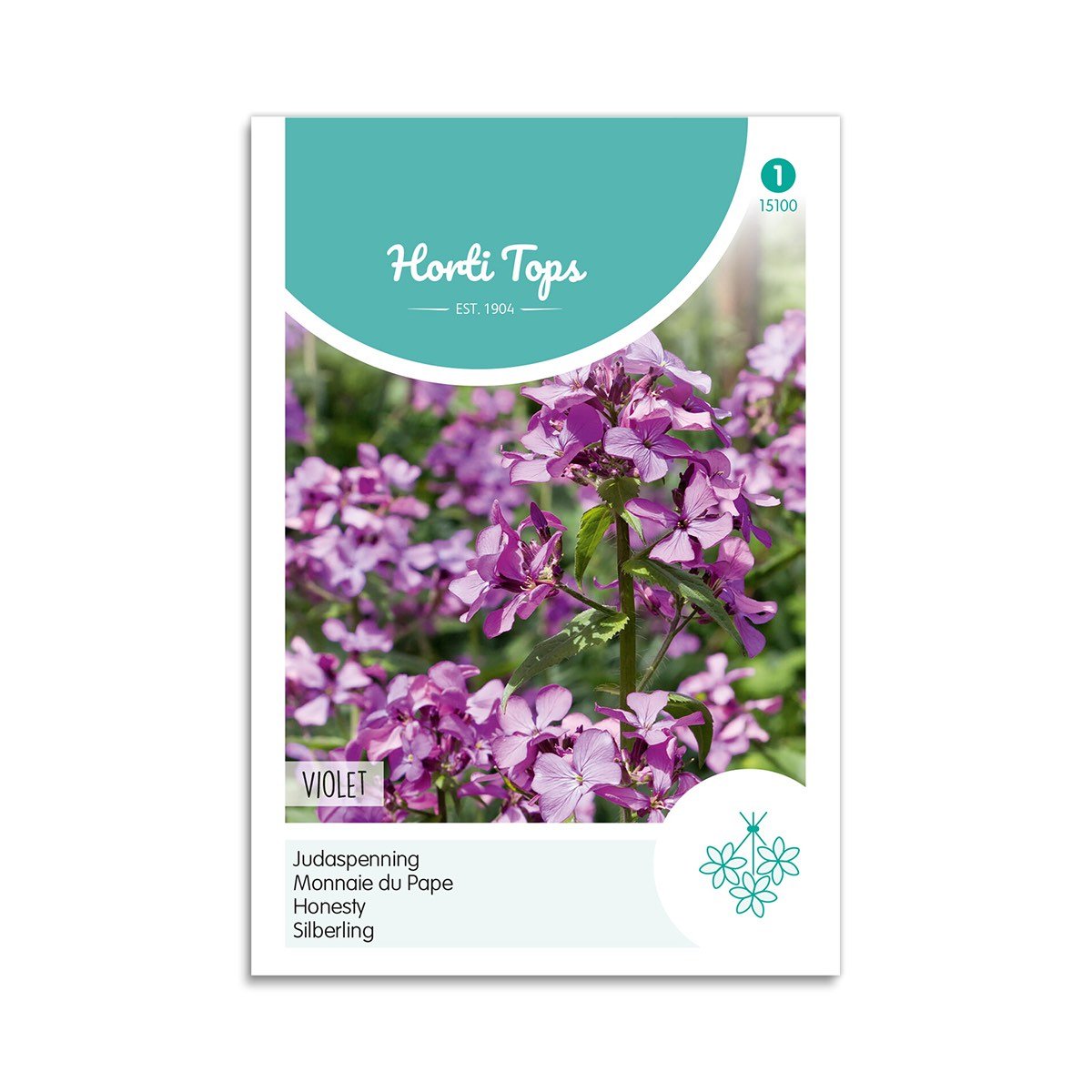 Judaspenge Frø "Violet" - Horti Tops på tilbud!