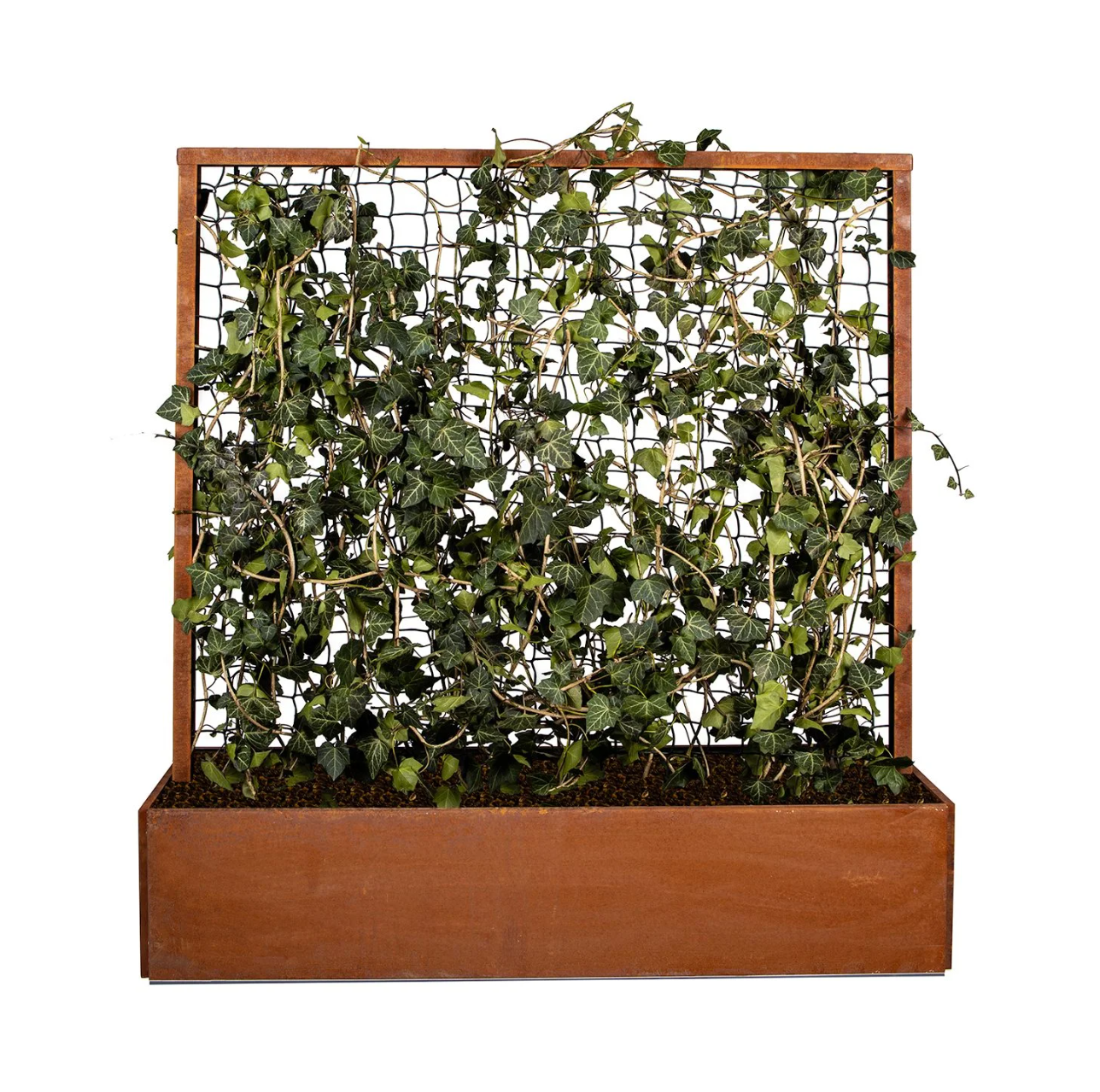 Land Classic Højbed med Espalier i Galvaniseret Jern