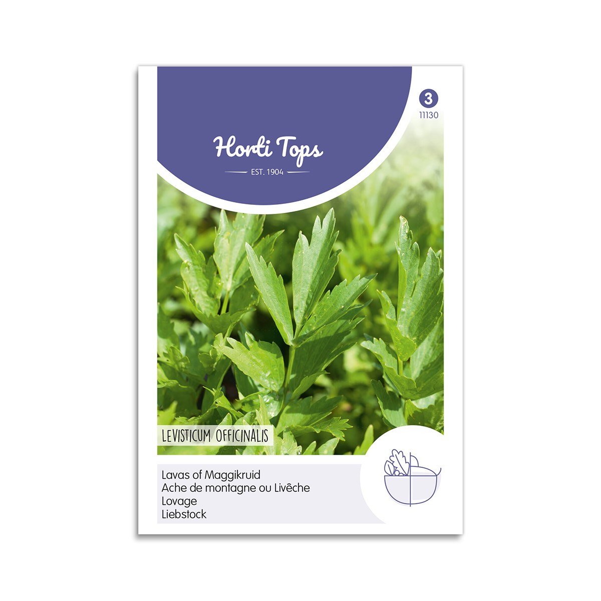 Løvstikke Frø fra Horti Tops – Krydderurt til Haven!