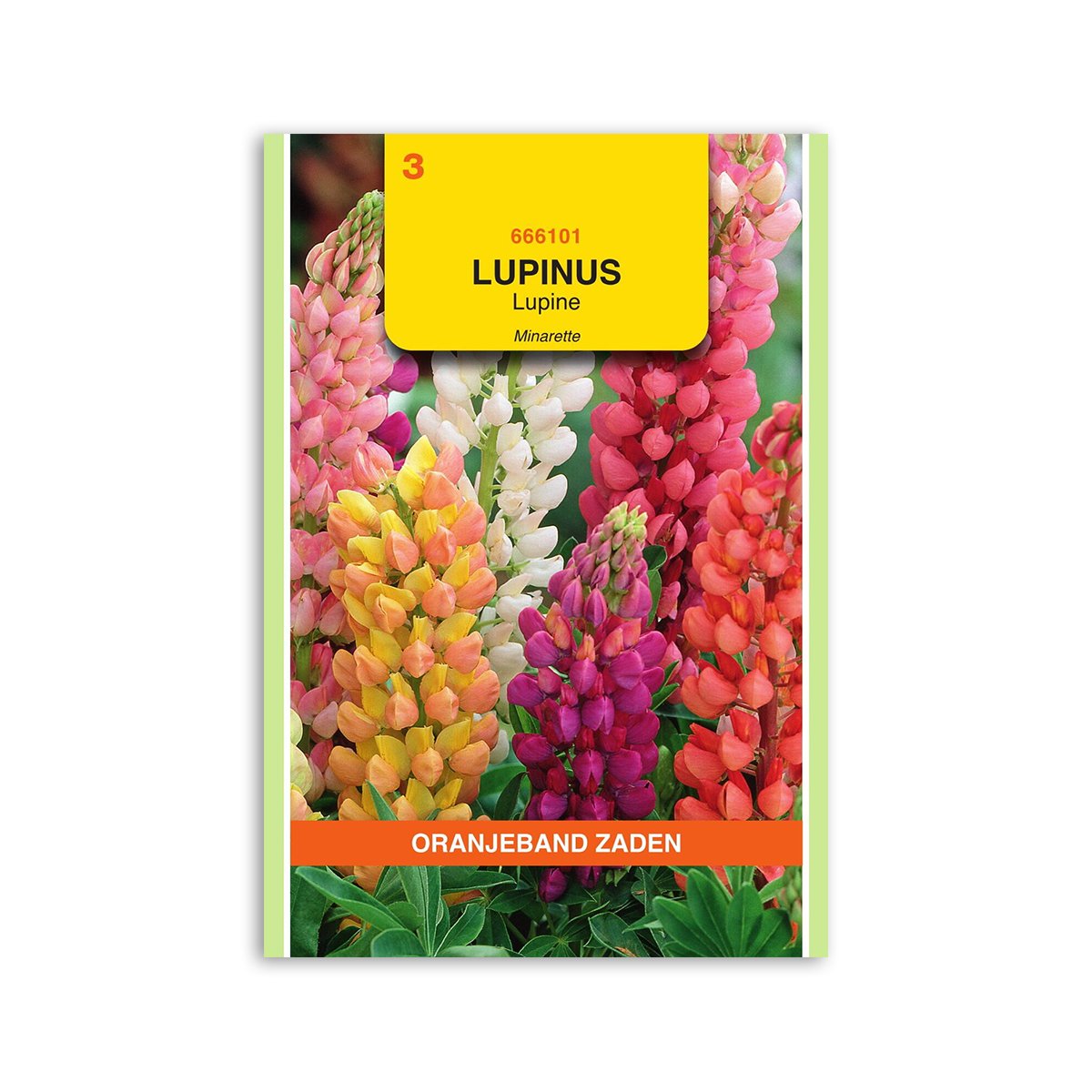 Lupinfrø "Minarette Mix" – Farverig haveglæde!