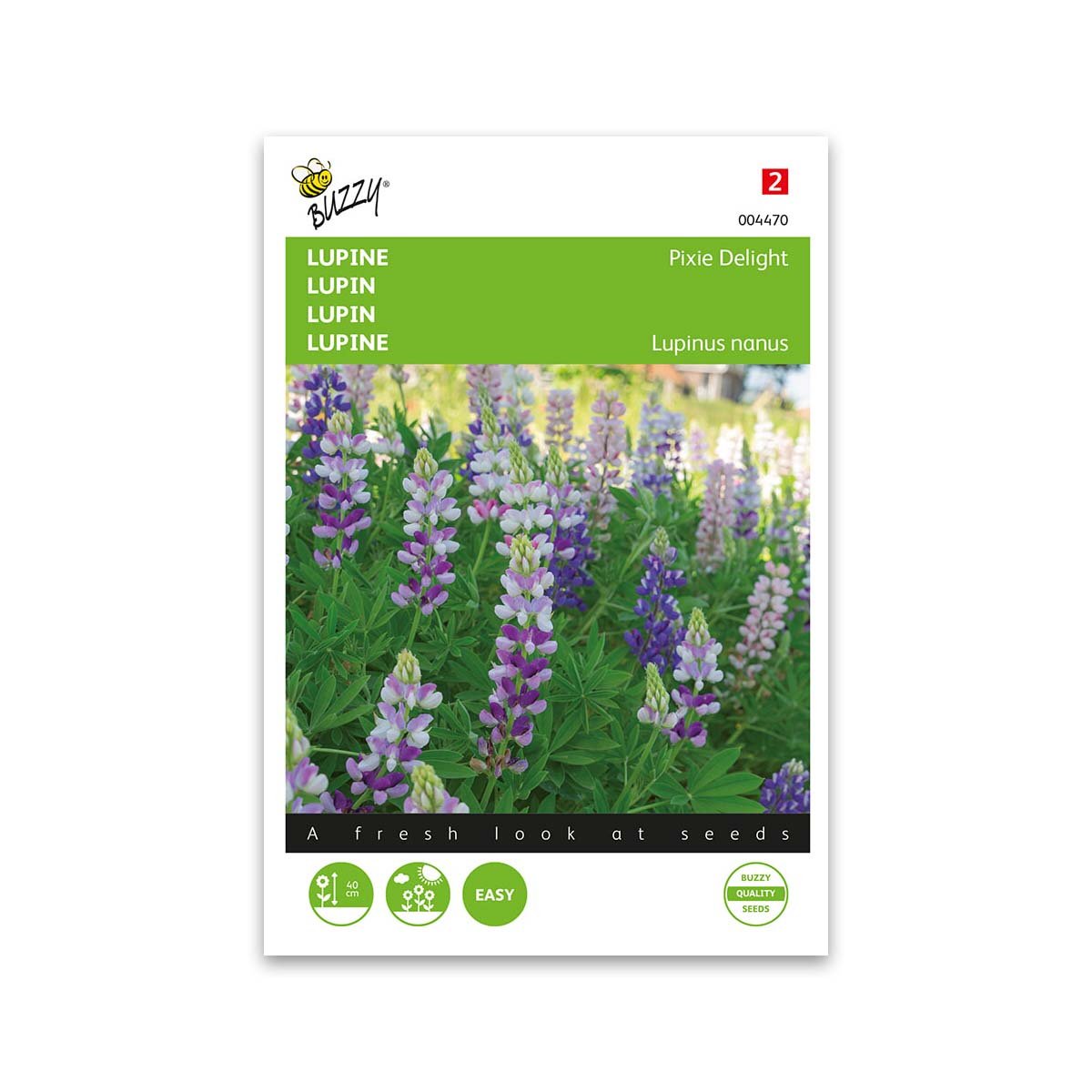 Lupinfrø "Pixie Delight Mix" - Farverige blomster til haven