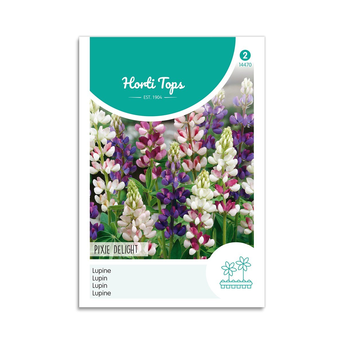 Lupinfrø "Pixie Delight" til krukker - Horti Tops