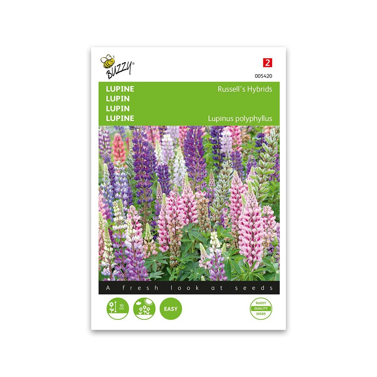 Lupinfrø - Russells Hybrids Mix fra Buzzy til Haven