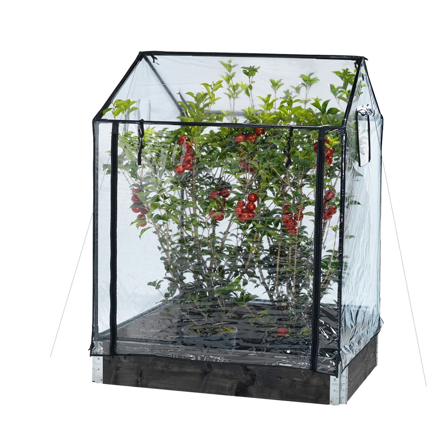 Høj Minidrivhus til Palleramme fra Hortus - Haveglad.dk