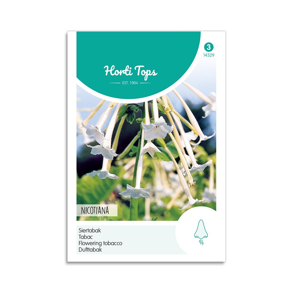Narcistobak Frø "Nicotiana" - Horti Tops Tilbud!