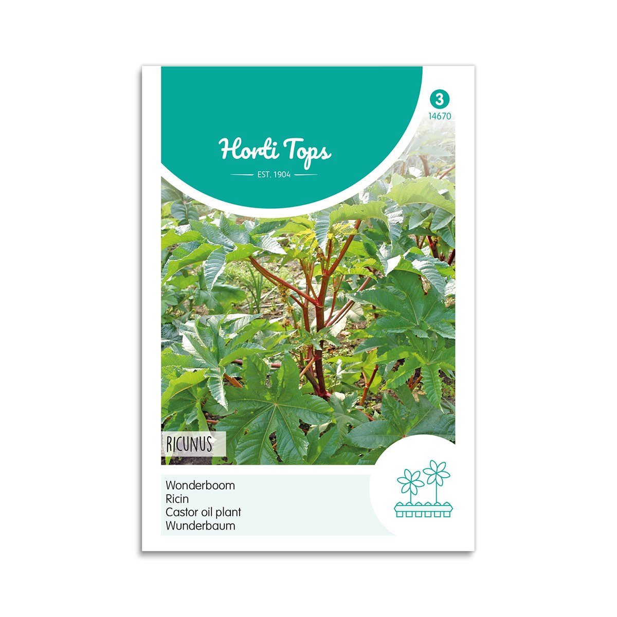 Olieplante Frø "Ricinus" - Horti Tops til Haven