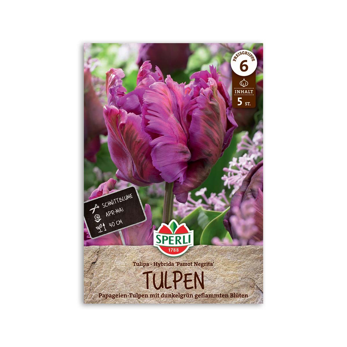 Papegøje Tulipan "Parrot Negrita" - Unikke Blomsterløg Tilbud!