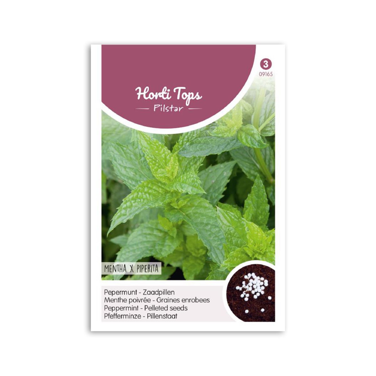Pebermyntefrø - Horti Tops til din have!