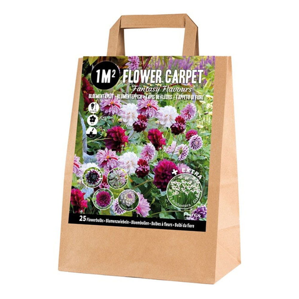 Pose Med Blandede Blomsterløg  Fantasy Flowers   M2