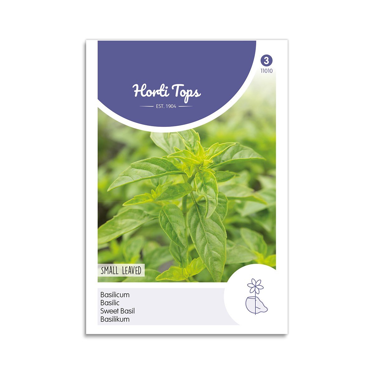 Sød Basilikum Frø fra Horti Tops - Krydderurtefrø