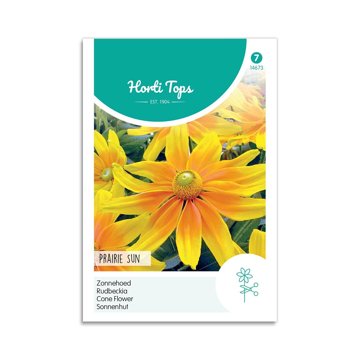 Solhat Frø "Prairie Sun" - Blomster til Haven