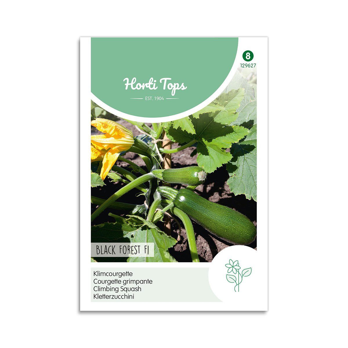Squashfrø "Black Forest F1" - Horti Tops på tilbud!