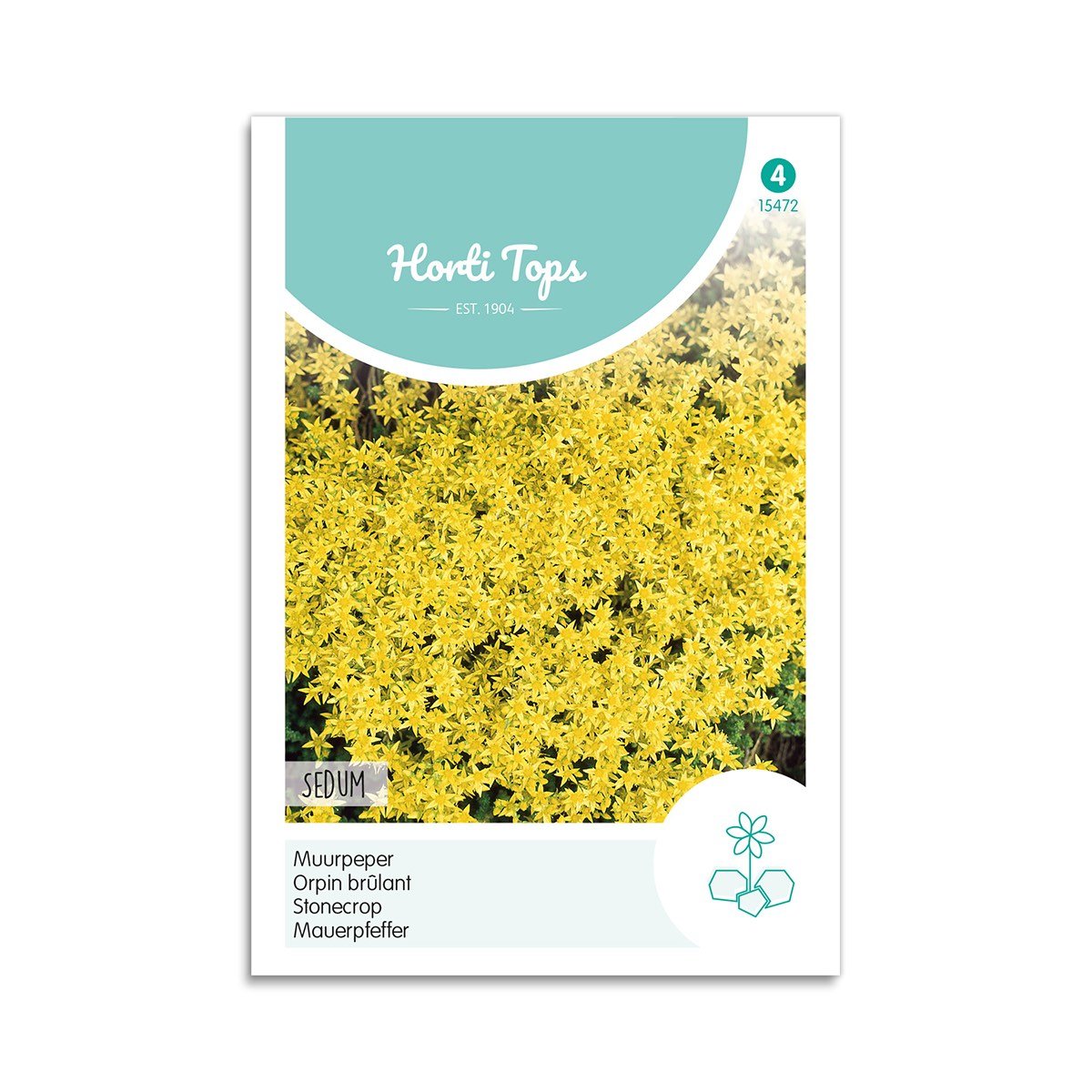 Stenurt Frø fra Horti Tops - Tørketolerante Blomsterfrø
