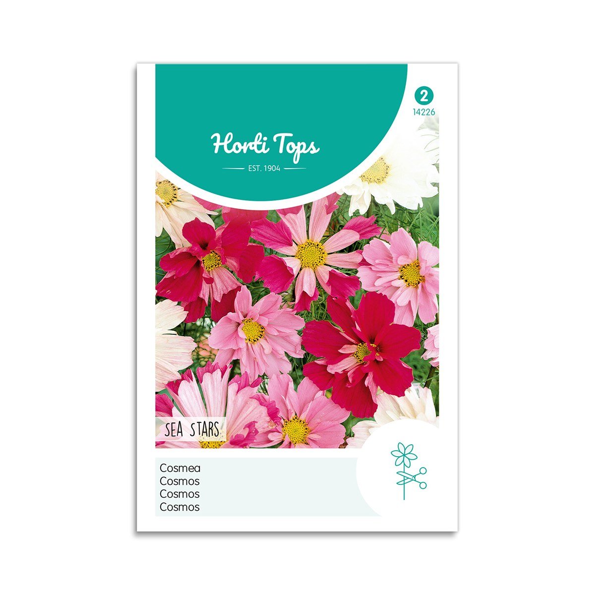 Stolt Kavaler Frø "Sea Stars" - Horti Tops Tilbud!
