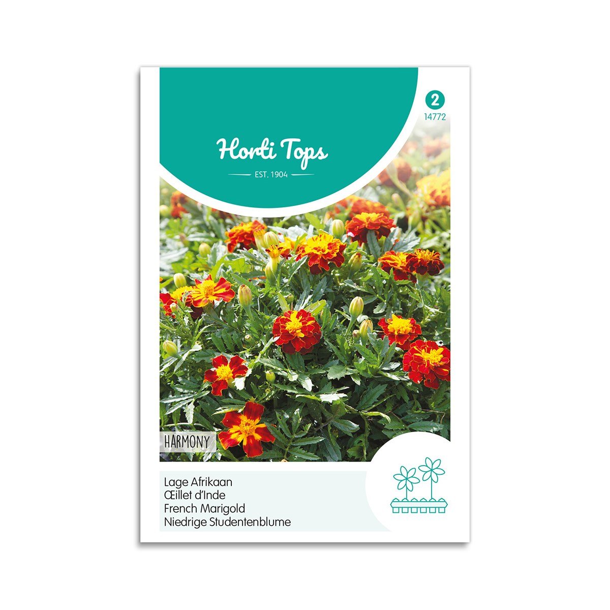 Tagetes Frø "Harmony" - Ideel til Krukker og Blomsterbede