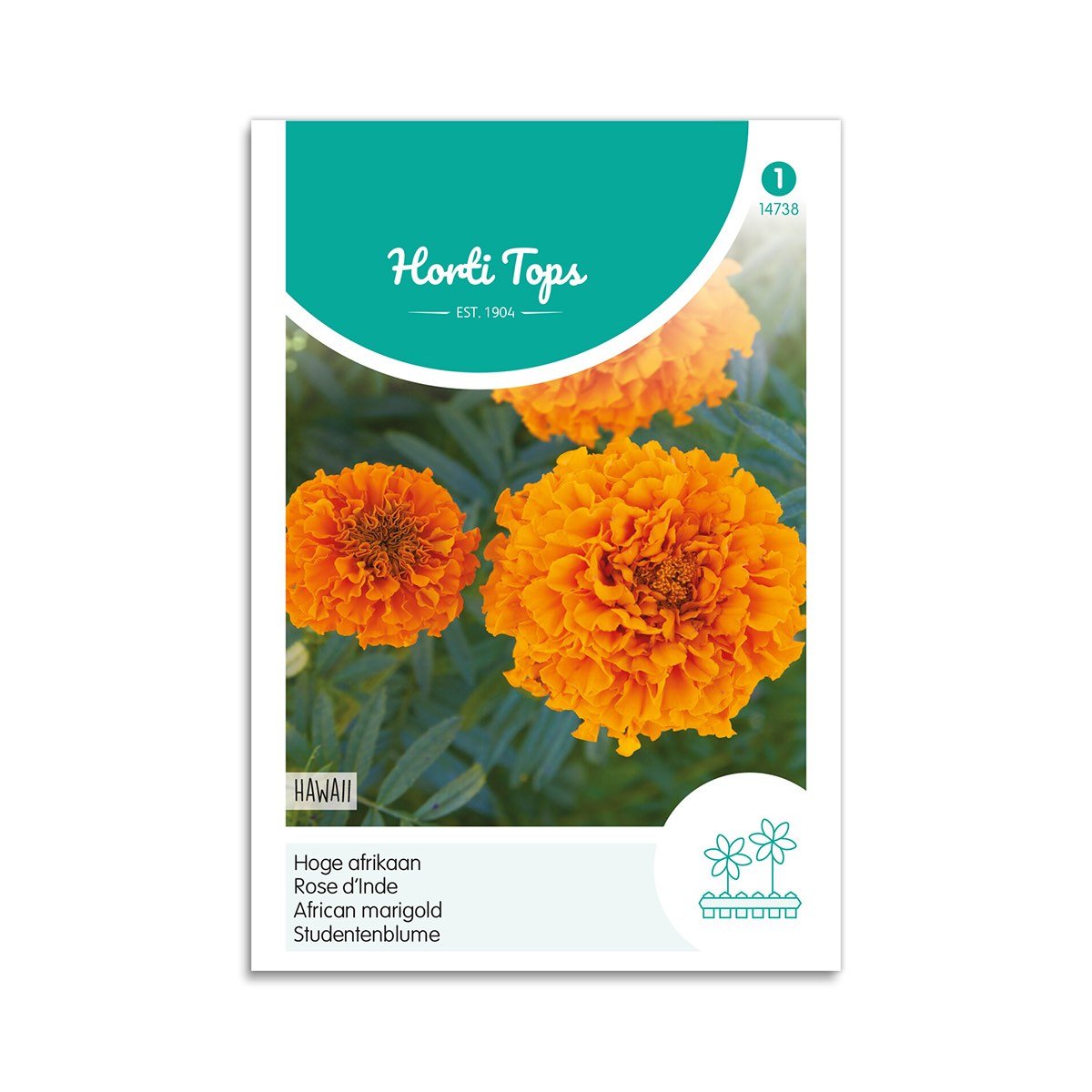 Tagetes Frø "Hawaii" - Farverig Sommerblomst til Haven