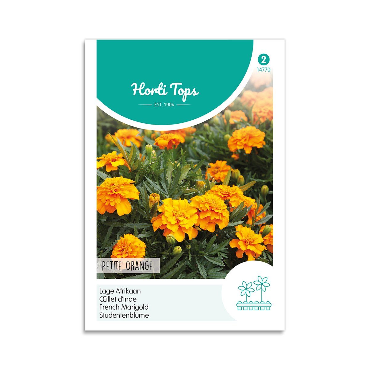 Tagetes Frø "Petite Orange" - Blomster til Haven