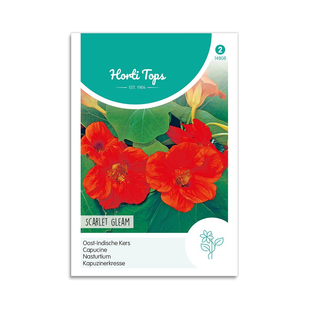Tallerkensmækker Frø "Scarlet Gleam" - Horti Tops Tilbud!