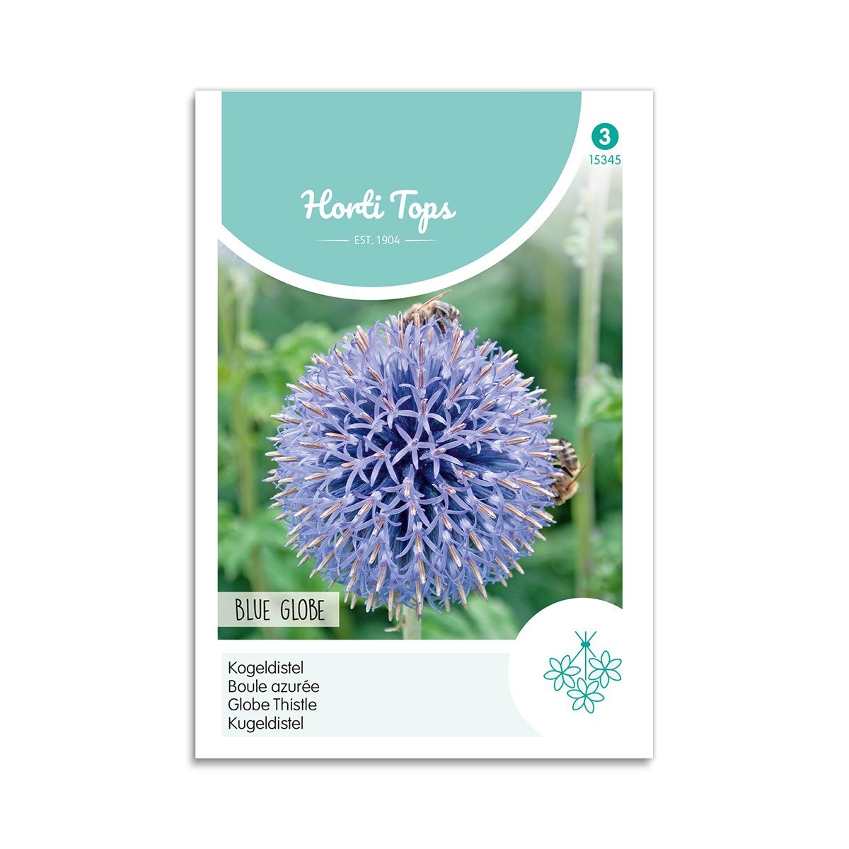 Tidselkugle Frø "Blue Globe" - Horti Tops på tilbud!