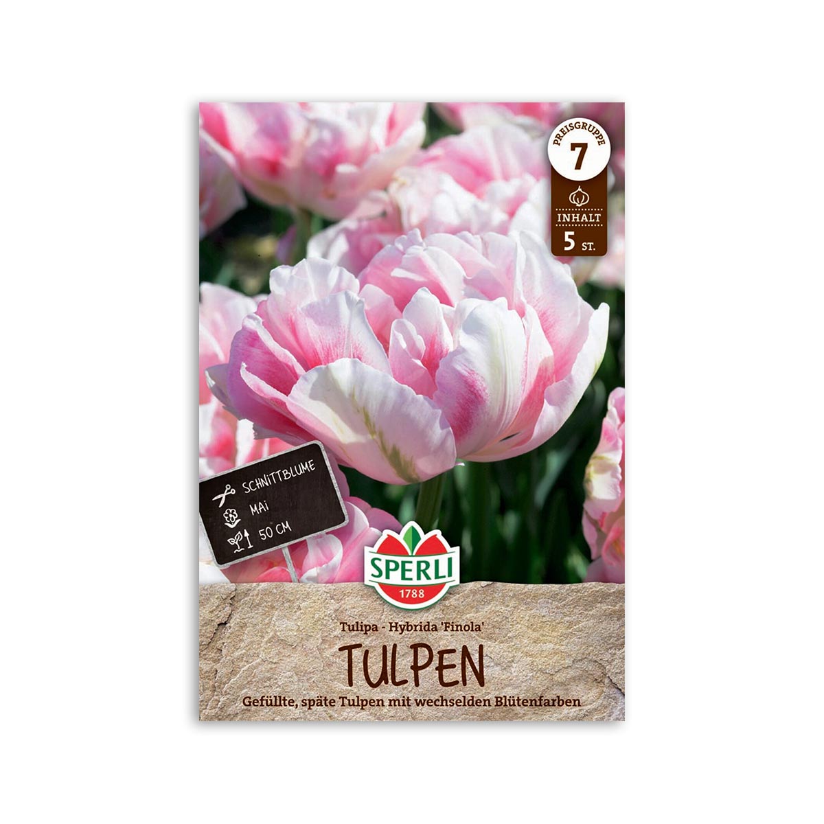 Tulipanløg "Finola" - Smuk Blomst til Haven og Indendørs