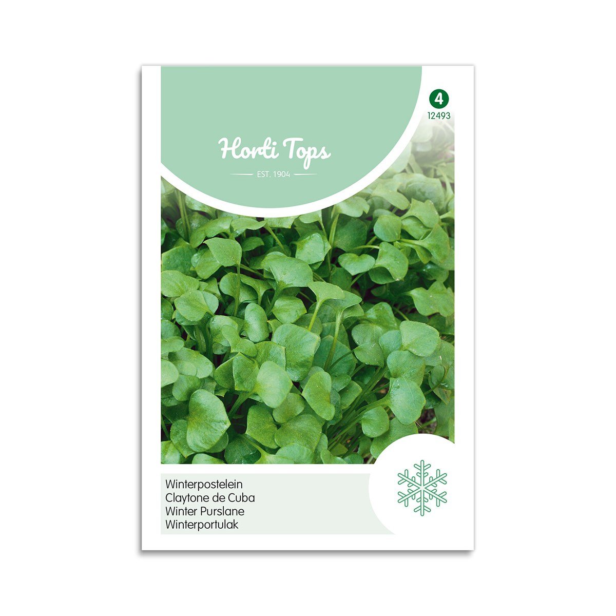 Vinterportulak Frø fra Horti Tops – Sund og Lækre!