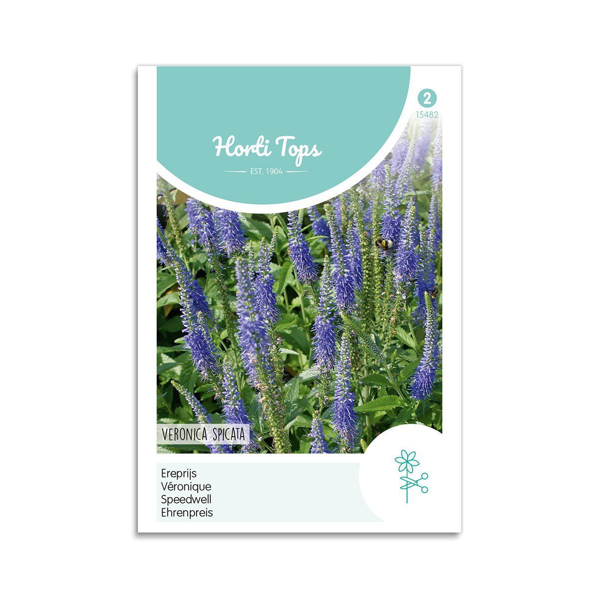 Ærenpris Frø "Blue" – Skønne blomster til haven